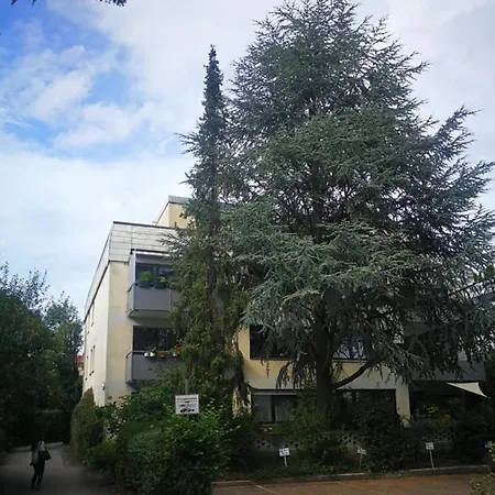 So Maison Petite * Augusta